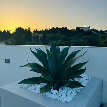 Luz Blanca Rooftop Seaview *